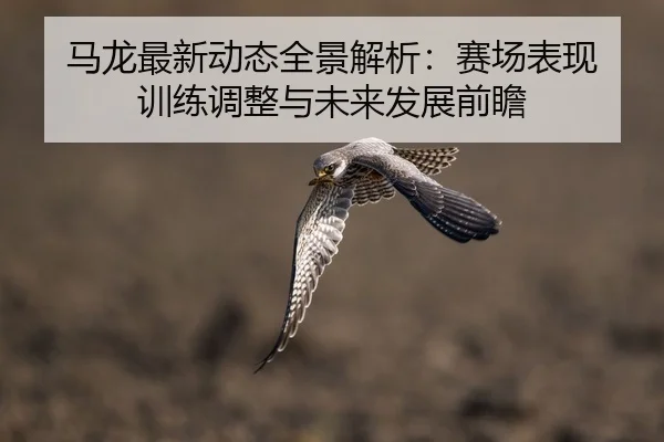 马龙最新动态全景解析：赛场表现 训练调整与未来发展前瞻