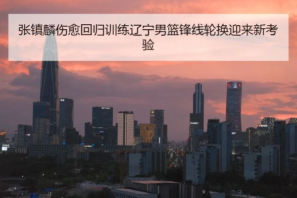张镇麟伤愈回归训练辽宁男篮锋线轮换迎来新考验